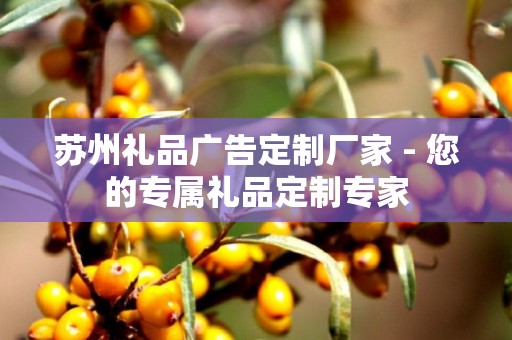 苏州礼品广告定制厂家 - 您的专属礼品定制专家