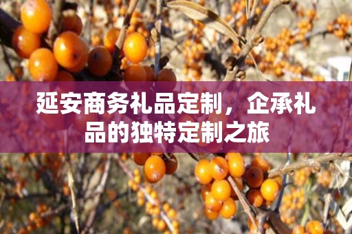 延安商务礼品定制，企承礼品的独特定制之旅