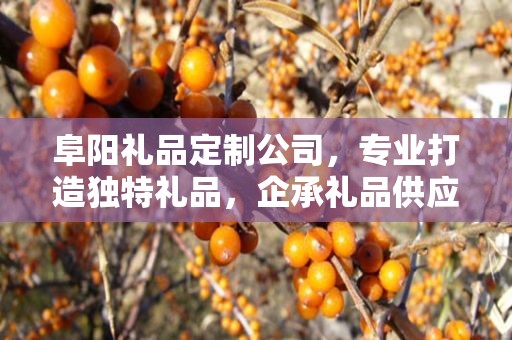 阜阳礼品定制公司，专业打造独特礼品，企承礼品供应链助力商务往来