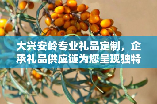 大兴安岭专业礼品定制，企承礼品供应链为您呈现独特之选