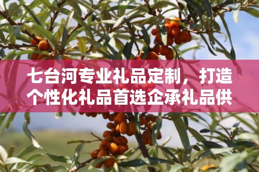 七台河专业礼品定制，打造个性化礼品首选企承礼品供应链