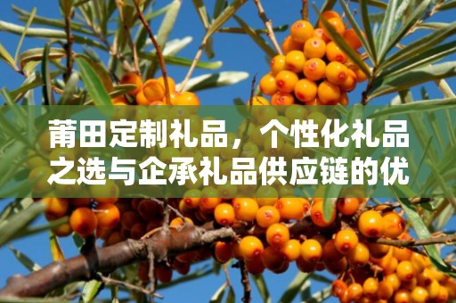 莆田定制礼品，个性化礼品之选与企承礼品供应链的优势