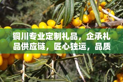 铜川专业定制礼品，企承礼品供应链，匠心独运，品质卓越
